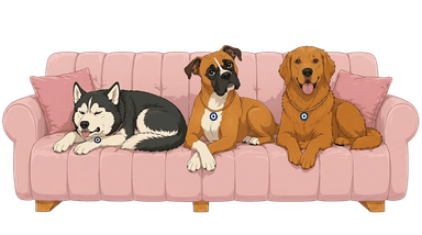 Short Leash Podcast